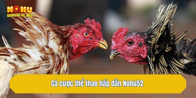 Cá cược thể thao hấp dẫn 